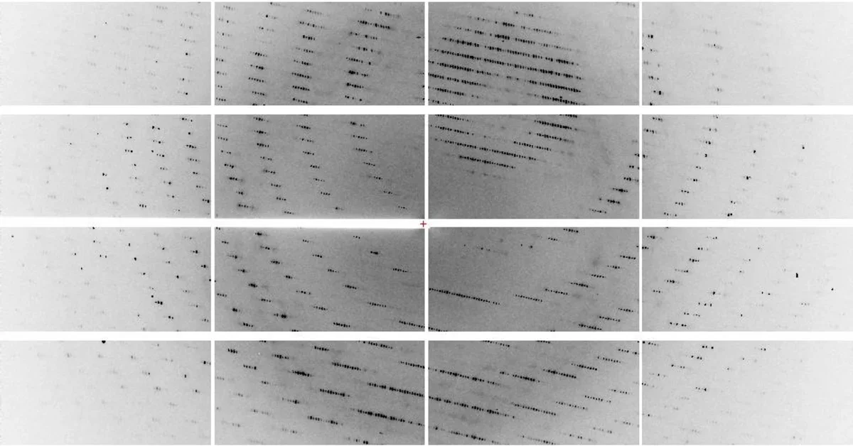 X-ray and EM Structure Determination Core | Research Cores